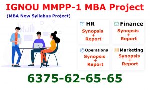 IGNOU-MBA-Project-MMPP-1